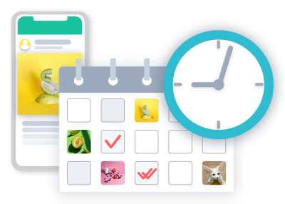 Find the Best Time to Publish Your Content