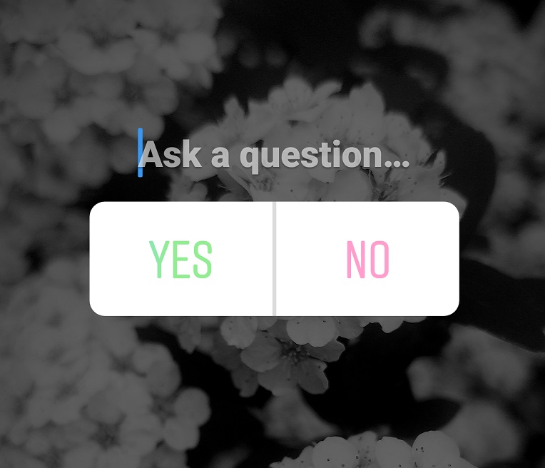 Опросы в сторис