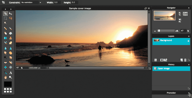 Upload the image into the working area