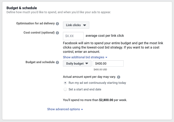 budget and schedule