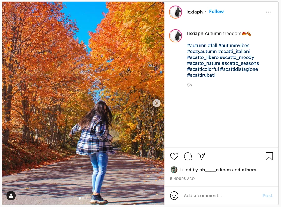 140 Best Fall Instagram Captions - Simple & Cute Autumn Captions
