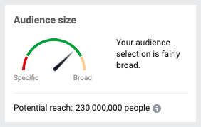 Audience size